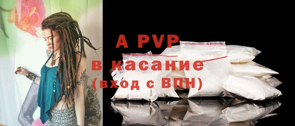 прущие грибы Горняк