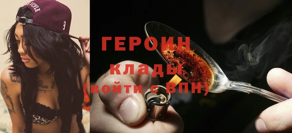 прущие грибы Горняк