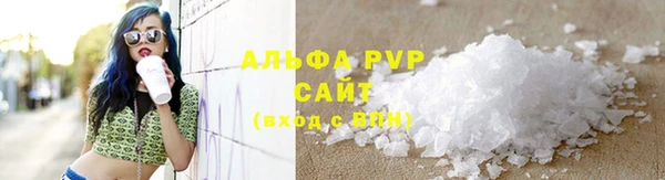прущие грибы Горняк