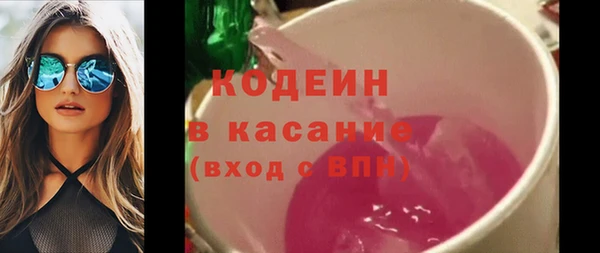 прущие грибы Горняк