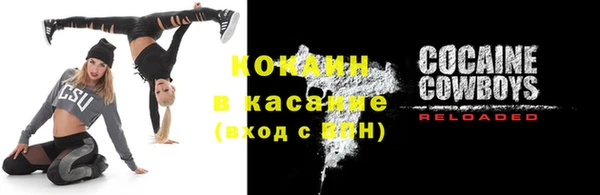 прущие грибы Горняк