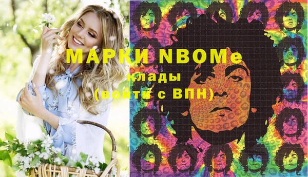 прущие грибы Горняк