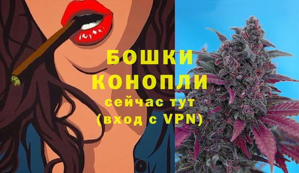 амф Горнозаводск
