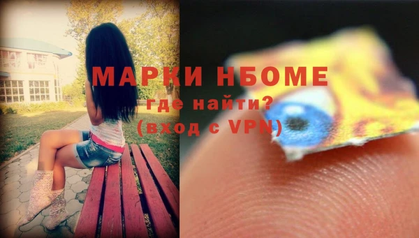 прущие грибы Горняк