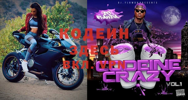 прущие грибы Горняк