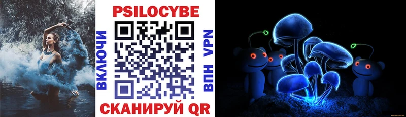 Псилоцибиновые грибы прущие грибы Калач-на-Дону