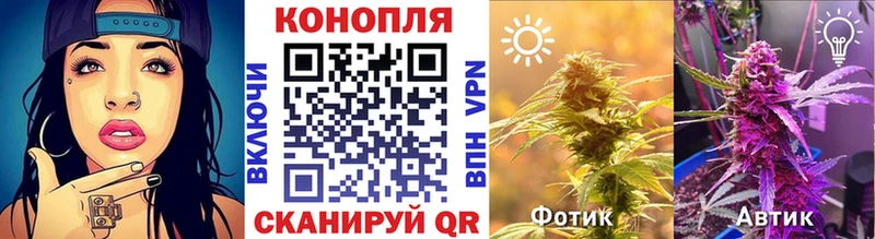 Шишки марихуана гибрид где продают ссылка на мегу вход Калач-на-Дону